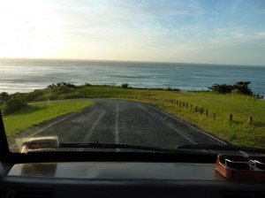 View of the Tasman Sea