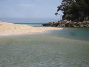 Tidal pool