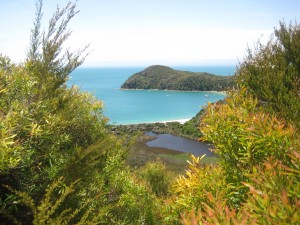 Abel Tasman View
