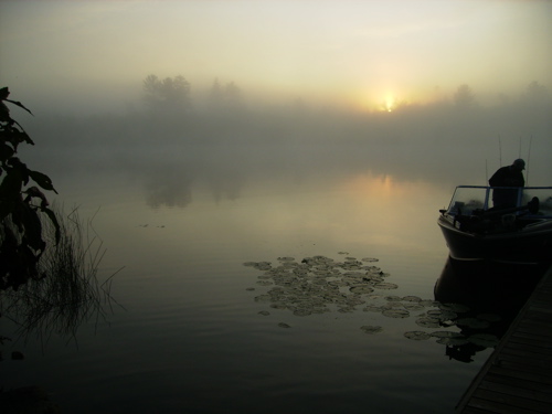Misty Morning