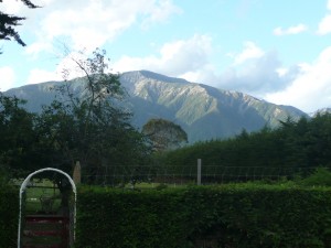 Kaikoura