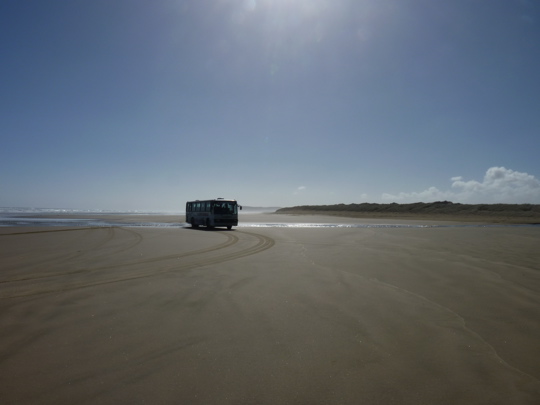 New Zealand's North: Cape Reinga and 90 Mile Beach | Backpackingmatt.com