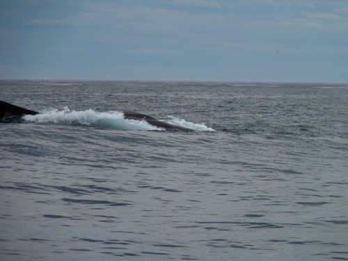 Rare Surface Behavior Rare Surface Behavior