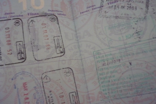 Cat's Passport Cat's Passport