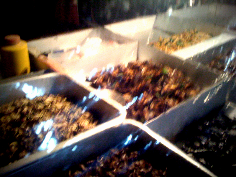 Cart Full of Bugs Cart Full of Bugs