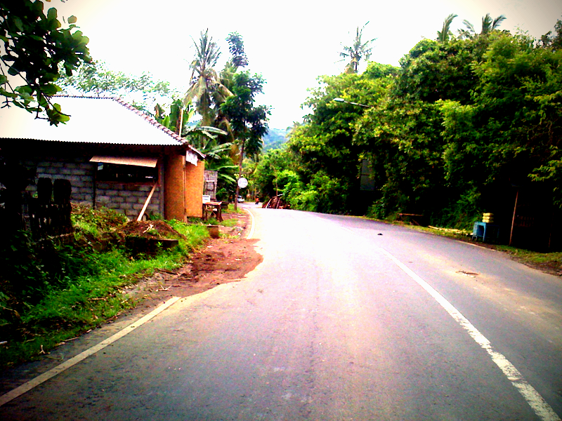 Bali Road from the Scooter Bali Road from the Scooter