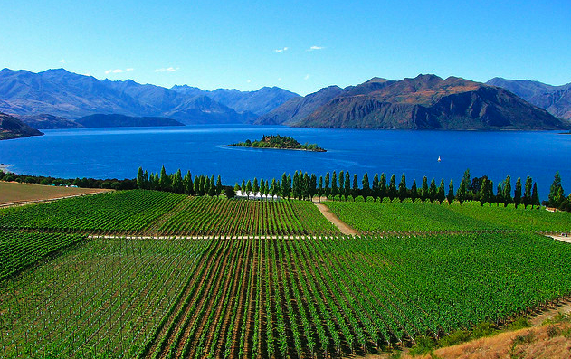 Rippon New Zealand