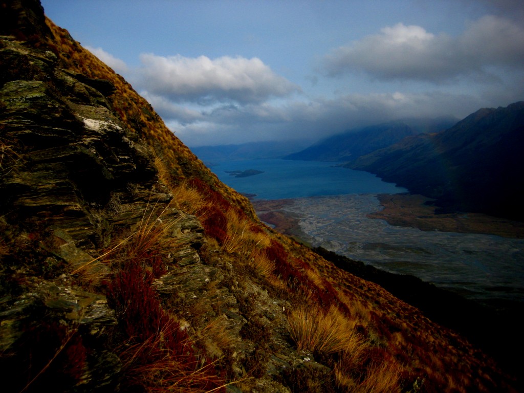 View of Lake Wakatipu
