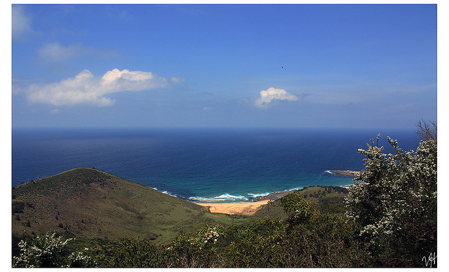 Royal National Park