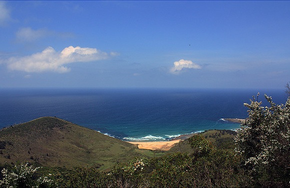Creative Commons Royal National Park