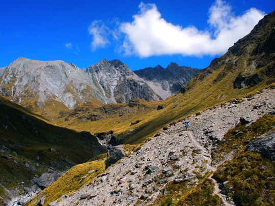 Picture Perfect New Zealand Picture Perfect New Zealand