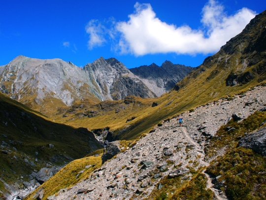 Picture Perfect New Zealand