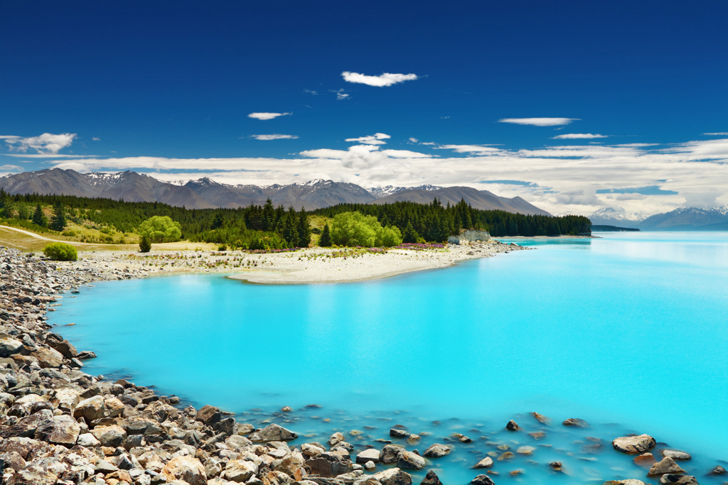 Lake Pukaki (South Island), New Zealand