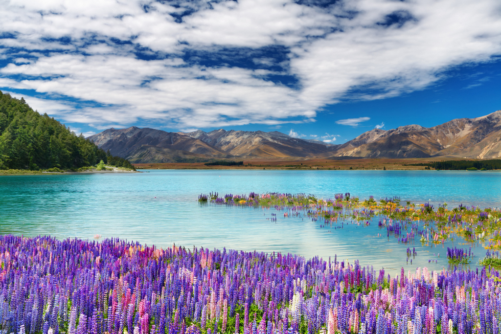 Lake Tekapo, New Zealand (South Island) Lake Tekapo, New Zealand (South Island)