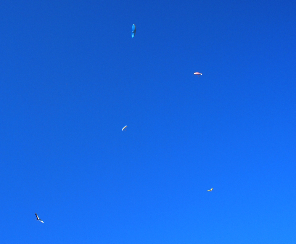Wings & Blue Sky