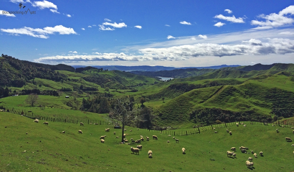 Kawhia Countryside