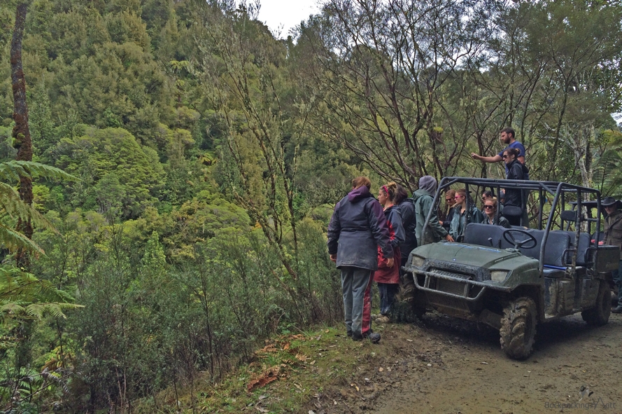 Whakahoro Native Bush