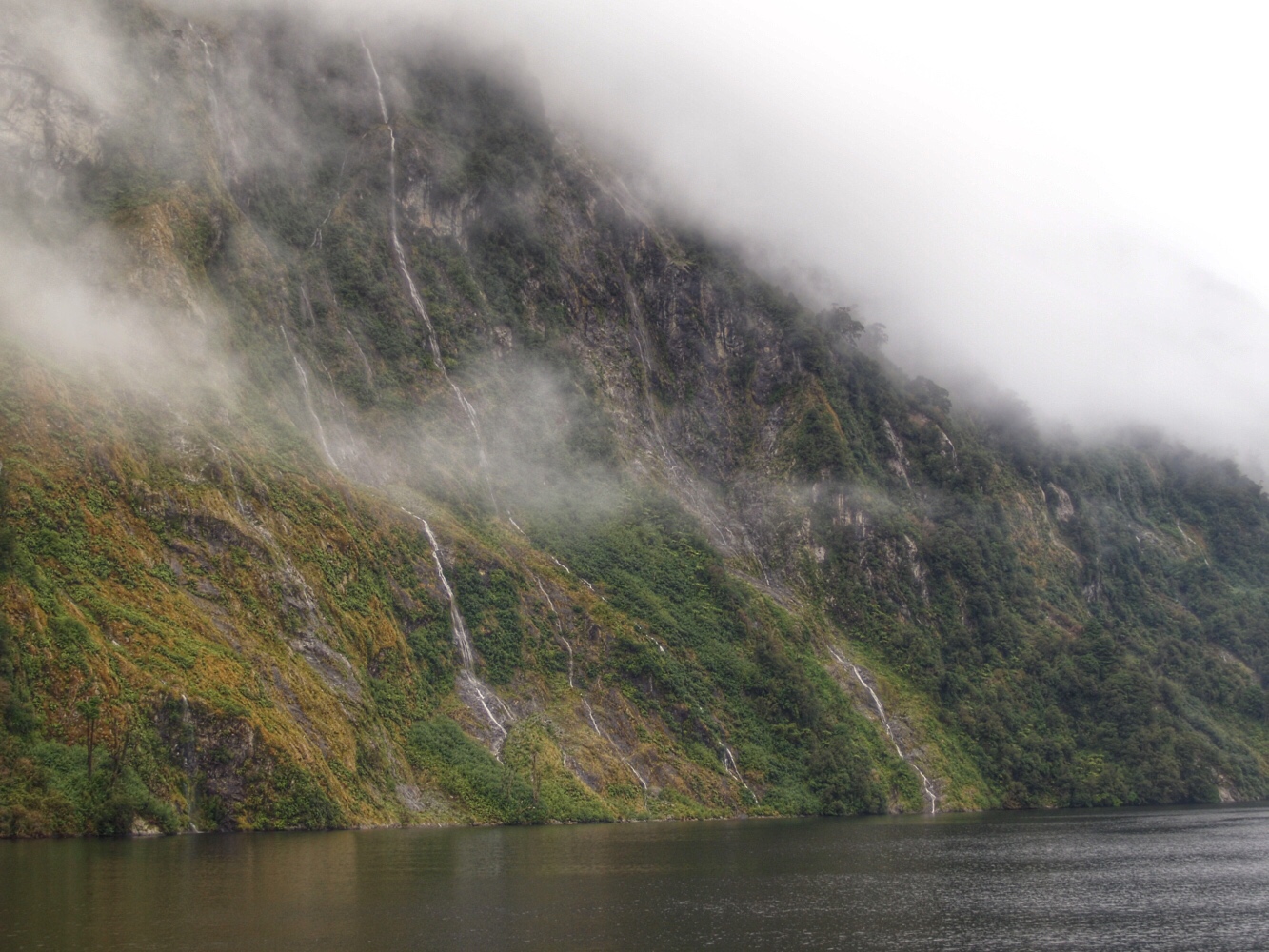 Fiordland Colors