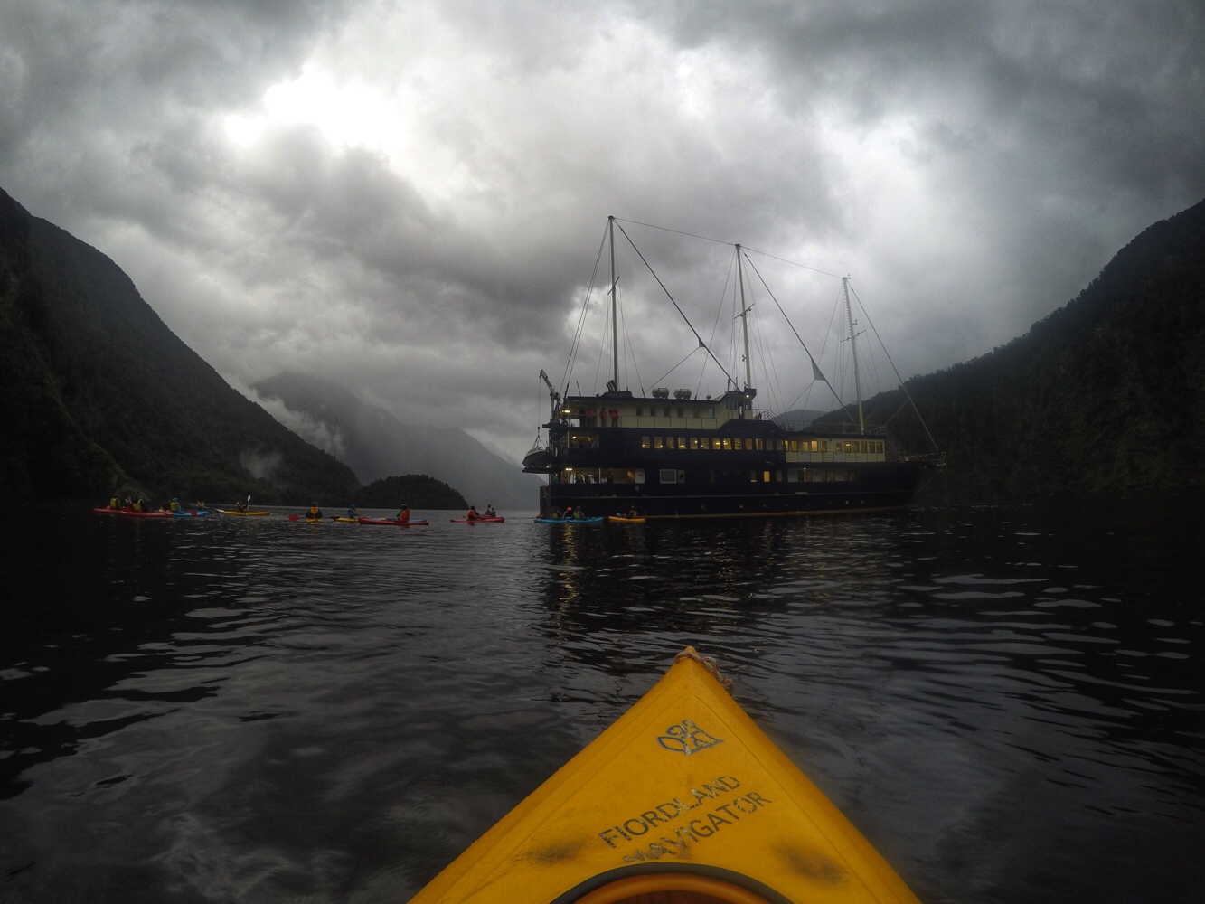 Fiordland Navigator - Good Looking Ship