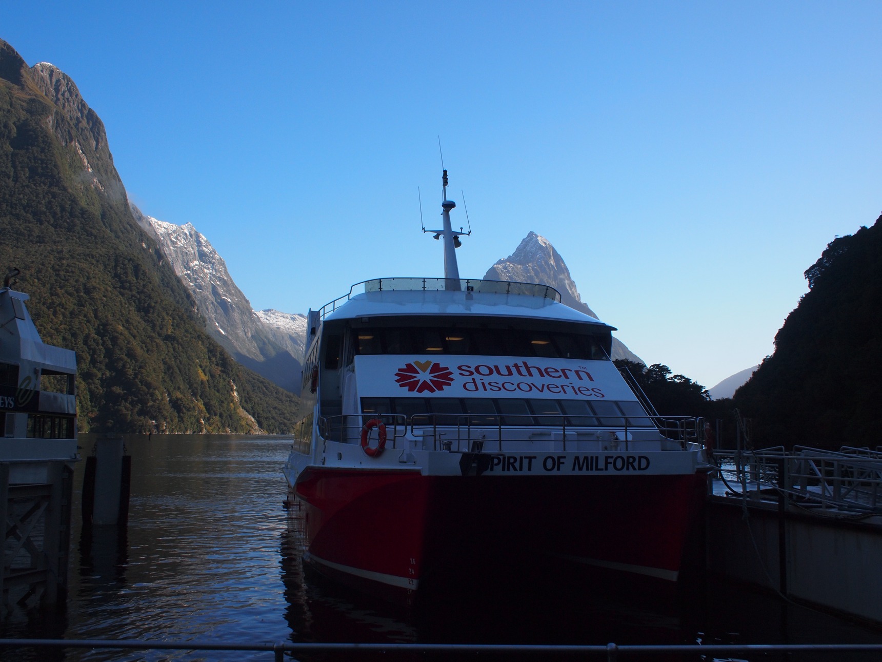 Southern Discoveries