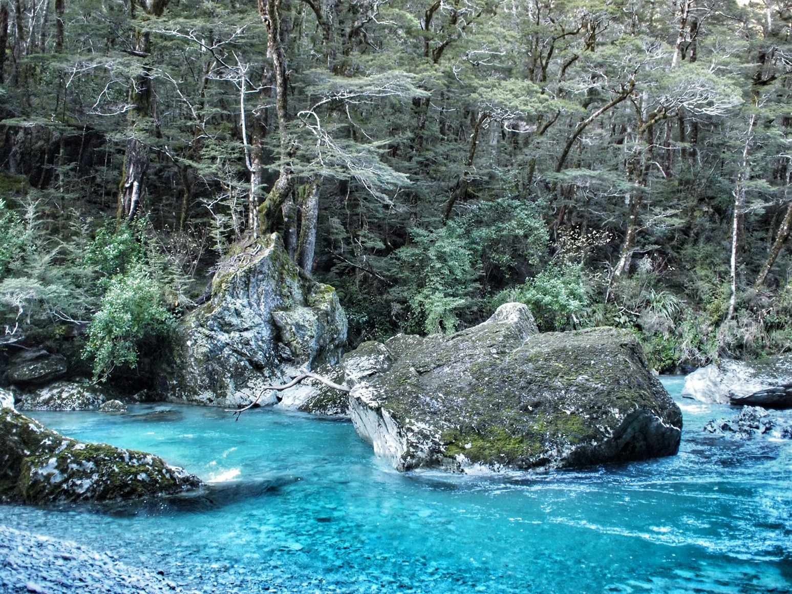 Routeburn Track