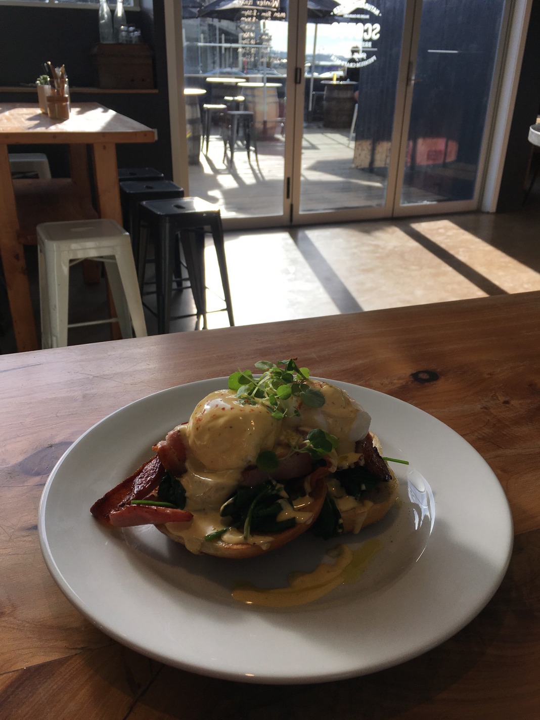 New Zealand's Best Eggs Benny